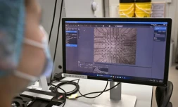 Sur cette photo prise le 5 mai 2026, la chercheuse Daria Kornienko observe au microscope des neurones cultivés dans le laboratoire de l'entreprise australienne Cortical Labs à Melbourne