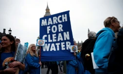 Des manifestants participent à une "Marche pour l'eau propre" appelant le gouvernement à "mettre fin à l'empoisonnement des eaux britanniques", le 3 novembre 2024 à Londres
