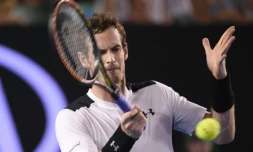 Le Britannique Andy Murray, 2e mondial, pendant son quart de finale vicorieux d'Open d'Australie contre l'Espagnol David Ferrer, le 27 janvier 2016 à Melbourne