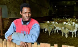 Kekouta Dembélé, jeune réfugié malien et apprenti berger, à Gironde-sur-Dropt, le 22 janvier 2019