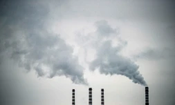 Le réchauffement climatique pourrait provoquer plus de 500.000 morts supplémentaires en 2050 dans le monde