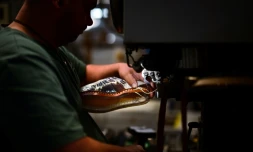 Un ouvrier coud une chaussure, dans l'usine Paraboot de Saint-Jean-de-Moirans, en Isère, le 27 mai 2025