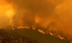 Incendie à Perth en février 2021, en Australie
