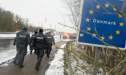 Des policiers danois le 9 janvier 2016 à Krusaa à la frontière avec l'Allemagne