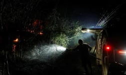 Incendie dans la forĂȘt de Fontainebleau, Ă Noisy-sur-Ecole, le 12 juillet 2026
