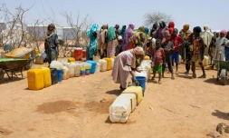 Un camp de réfugiés soudanais, à Farchana, au Tchad, le 8 avril 2024