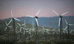 Un champ d'éoliennes prÚs de Palm Springs, en Californie, le 22 avril 2016
