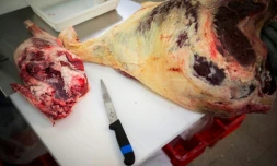 Les services sanitaires du ministère de l'Agriculture ont retrouvé "795 kilos" de viande avariée polonaise dans "neuf entreprises" du secteur agroalimentaire en France