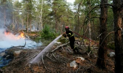 Un pompier lutte contre un incendie dans la forĂŞt de Fontainebleau, Ă Noisy-sur-Ecole, en Seine-et-Marne, le 14 juillet 2026