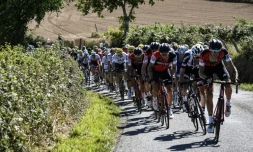 Le peloton du Tour de France, lors de la 14e étape, 15 juillet 2017 entre Blagnac et Rodez