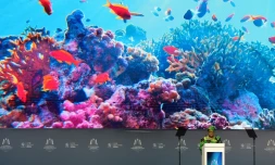 La directrice générale de l'OMC Ngozi Okonjo-Iweala au premier jour de la conférence ministérielle de l'organisation à Abou Dhabi, le 26 février 2024