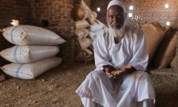 L'agriculteur Modawi Ahmed, dans une grange où est stocké du blé, le 28 mai 2022 à al-Laota, au sud-ouest de Khartoum, au Soudan 