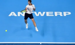 Richard Gasquet face à l'Argentin Diego Schwartzman en finale du tournoi d'Anvers, le 23 octobre 2016
