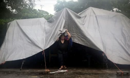 Des sinistrés ayant perdu leur maison après le passage de l'ouragan Eta s'abritent sous une tente, près de La Lima, le 4 novembre 2020 au Honduras