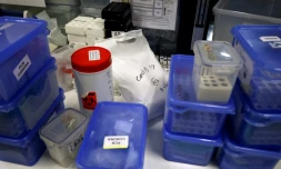 Echantillons prĂ©levĂ©s sur des personnes pouvant ĂȘtre malades du Covid-19 et en attente d'ĂȘtre analysĂ©s dans un laboratoire Ă Levallois-Perret, prĂšs de Paris, le 22 avril 2020