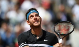L'Argentin Juan Martin Del Potro après sa qualification en demi-finales de Roland-Garros, le 7 juin 2018