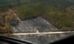 Vue aérienne depuis un hélicoptère du Service départemental d'incendie et de secours (SDIS 33) des ravages causés par un incendie à Landiras, le 23 juillet 2022 