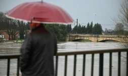 Un passant observe le débordement de l'Aude après des fortes pluies à Coursan, le 19 janvier 2026 dans l'Aude