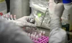 Une technicienne en laboratoire étudie le génome du Covid-19 et de ses variants à l'Institut Pasteur, le 21 janvier 2021 à Paris
