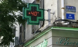 Une pharmacie à Ajaccio en Corse, le 1er août 2017