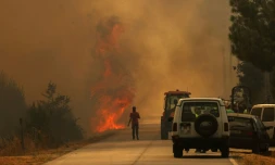 Un homme se dirige vers les flammes sur une route couverte de fumée dans le village d'Antas au Portugal, le 15 août 2025
