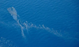 Photo fournie par l'Armée de l'Air montrant des hydrocarbures en mer le 12 juin 2021 à l'est de la Corse