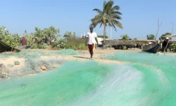 Un Gambien qui s'apprête à immigrer en Europe, le 4 décembre 2016 à Sanyang, en Gambie