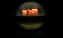 Diamants dans le four de la société Diam Concept, hébergée dans un laboratoire du CNRS à l'université Paris 13