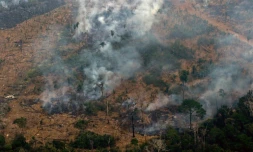 Des volutes de fumée s'échappent d'arbres de la forêt amazonienne, le 24 août 2019 près de Boca do Acre, dans l'ouest du Brésil
