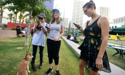 Des joueuses traquent les Pokemons sur leur portable, à Pershing Square à Los Angeles le 13 juillet 2016