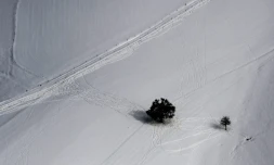 Un champ recouvert de neige prĂšs de Saint-Etienne, le 30 octobre 2018