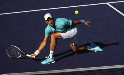 Le Serbe Novak Djokovic face à l'Australien Nick Kyrgios au tournoi d'Indian Wells (Californie), le 14 mars 2017