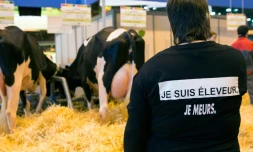 Un éleveur dénonce les difficiles conditions de sa profession, au Salon de l'agriculture le 29 février 2016