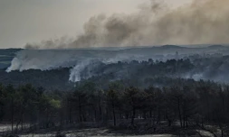 Un incendie ravage le parc national de Dadia, en GrĂšce, le 25 juillet 2023