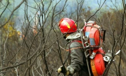 Un pompier le 1er septembre 2003 dans le massif des Maures