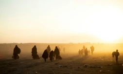 Des milliers d'hommes, femmes et enfants fuient le dernier bastion du groupe Etat islamique (EI) à Baghouz, dans l'est de la Syrie, le 6 mars 2019