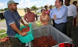 Vendredi 29 décembre 2006 -

François Bayrou, candidat UDF à la présidentielle, a visité Royal Bourbon Industrie, une entreprise agroalimentaire