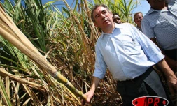 Jeudi 28 décembre 2006 -

En visite à La Réunion, François Bayrou, candidat UDF à la présidentielle, a rencontré des planteurs de cannes à sucre