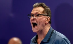 L'entraîneur des Bleues Olivier Krumbholz lors de la qualification en finale de l'Euro le 14 décembre 2018