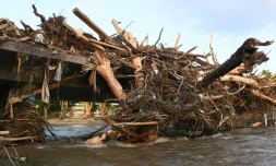 Un pont de Bad Neuenahr-Ahrweiler (ouest de l'Allemagne), détruit par les intempéries et bloqué par des arbres, le 17 juillet 2021