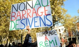 Manifestation à Albi le 27 octobre 2014, au lendemain de la mort de Rémi Fraisse à Sivens (Tarn)