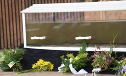 Un cercueil rempli d'eaux polluées lors de "funérailles" d'un fjord, dont l'écosystÚme a été asphyxié par les activités humaines, le 6 mars 2024 à Vejle, au Danemark