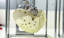 Un coeur artificiel au siège de l'entreprise Carmat, le 29 août 2018 à Bois-d'Arcy, près de Paris