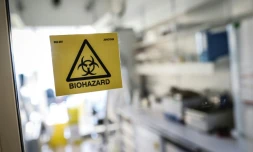 Des essais sont menés pour combattre les effets du coronavirus au niveau des poumons et éviter l'orage cytokine