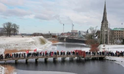 Au moins 10.000 personnes, selon la police, ont participé la 31 janvier 2026 à Copenhague à une marche silencieuse, à l'appel de l'Association danoise des anciens combattants, pour dénoncer les propos de Donald Trump relativisant l'engagement des alliés des Américains en Afghanistan
