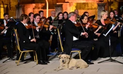 Un chien errant s'installe devant l'Orchestre de chambre de Vienne en concert près d'Izmir en Turquie, sur une photo diffusée le 30 juin 2017