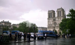 Les forces de l'ordre devant la cathédrale Notre-Dame après l'attaque d'un policier par un homme armé d'un marteau, le 6 juin 2017 à Paris