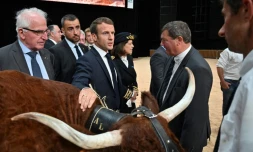 Emmanuel Macron avec des éleveurs le 4 octobre 2019 au "Sommet de l'élevage" à Cournon-d'Auvergne près de Clermont-Ferrand 