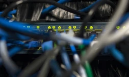 Des cùbles réseau fichés dans le serveur d'un immeuble de bureaux à Washington, le 13 mai 2017