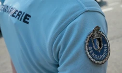 Opération de gendarmerie pour évacuer quelque 200 zadistes qui tentent de s'opposer au démarrage du chantier d'une rocade autoroutière près de Strasbourg